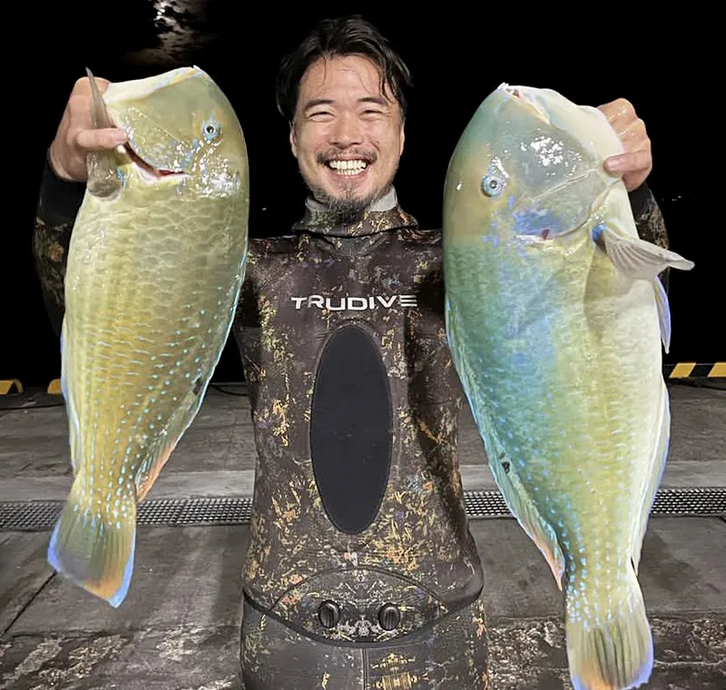 s-800x760_v-fs_webp_03201a19-