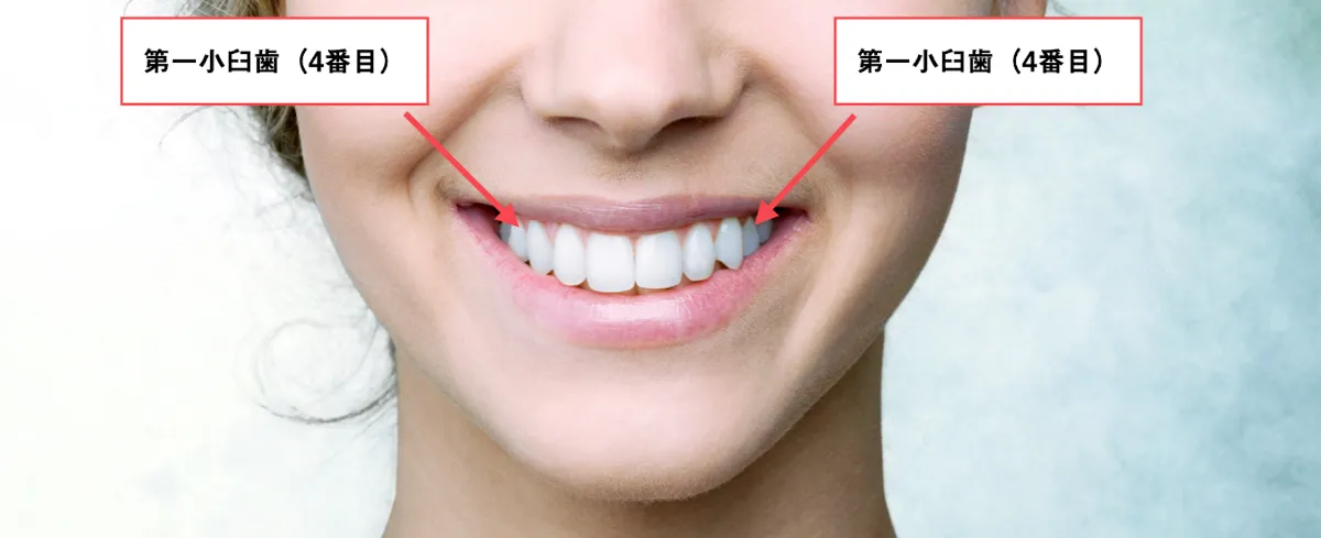 歯科矯正で口元が下がりすぎることはある デメリットや再治療が可能か解説 自宅でマウスピース矯正 Oh My Teeth