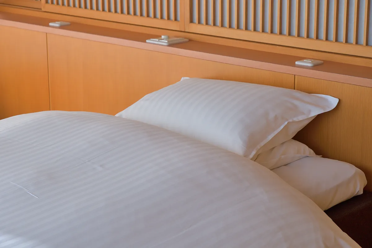 2WAYまくら ｜伊豆生活