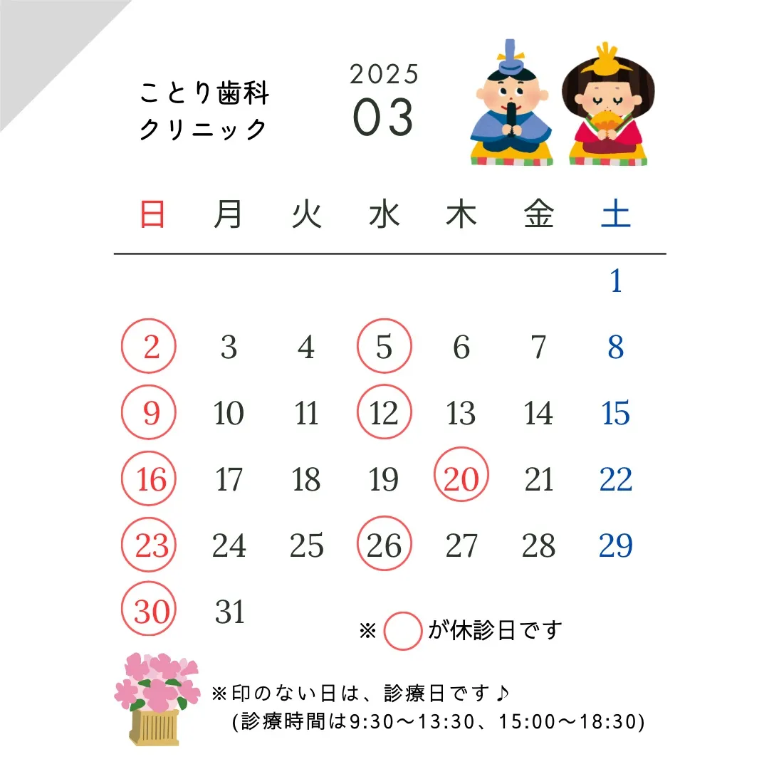 小児歯科学 小児｜株式会社ニッシン｜歯科模型・歯科材料のトップメーカー
