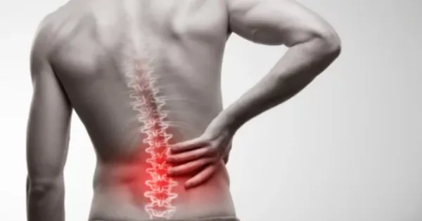 「背骨コンディショニング」で守る未来。痛みというSOSを見逃さない、真の健康への選択。