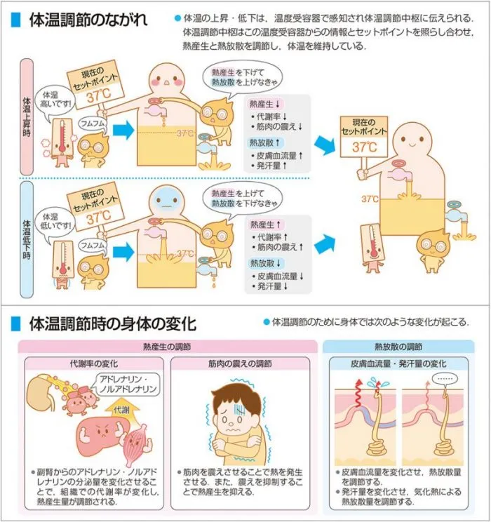 メディックメディア 看護教員向けサイト