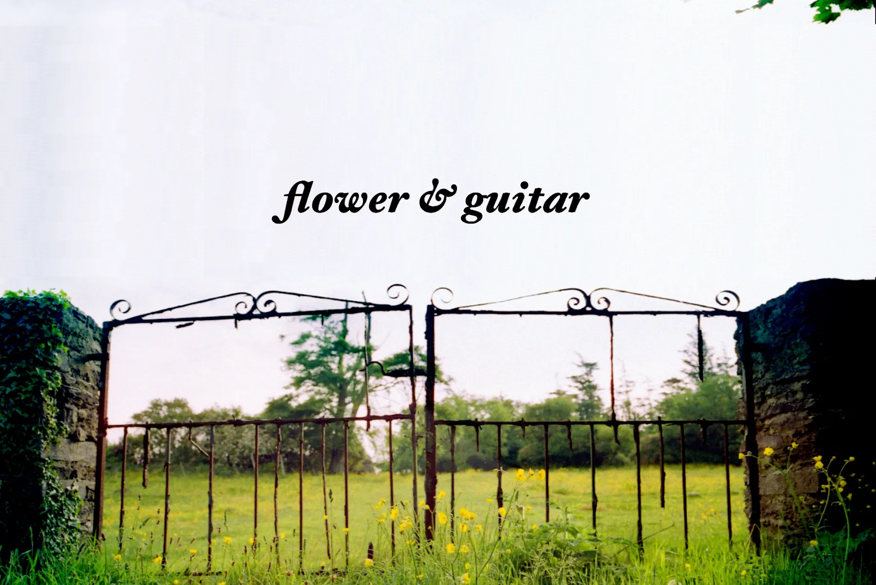 PBD別注 × Organ Za バンダナシャツ　HANA TO GUITAR 花とギター flower&guitar