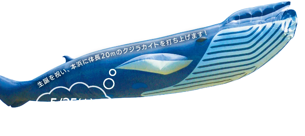 桂浜限定】坂本龍馬シャーペン 桂浜限定】坂本龍馬シャーペン 桂浜限定