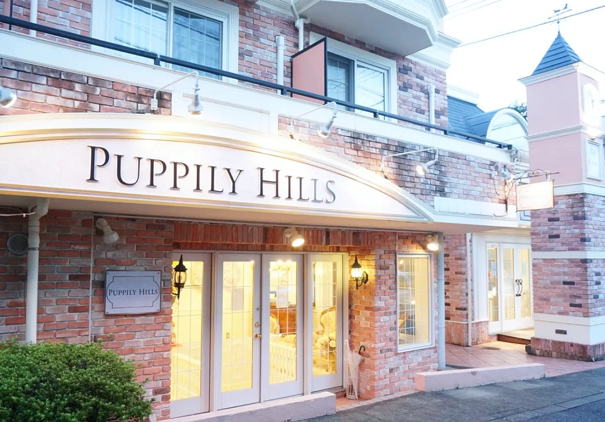 【値下げ】puppilyhills パピリーヒルズ s-1307x912_v-fms_webp_27732c72