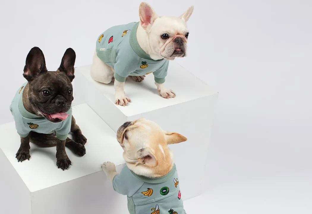 GNOCCHI&GOMA JAPAN(ニョッキ&ゴマ ジャパン)|ドッグウェアブランド GNOCCHI&GOMA JAPAN(ニョッキ&ゴマ ジャパン)|ドッグウェアブランド