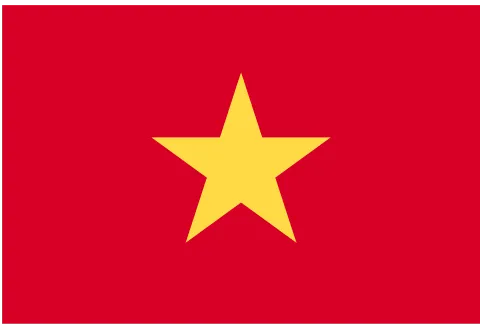 Vietnam Flag