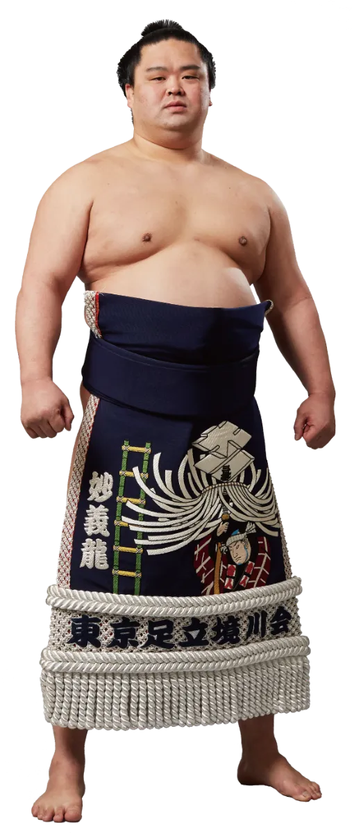 妙義龍引退振分襲名披露大相撲-特設サイト