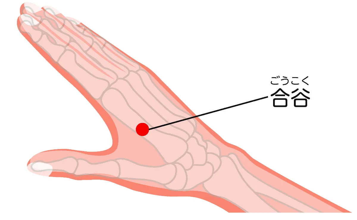 西洋医学でわかってきた、ツボの効くメカニズム