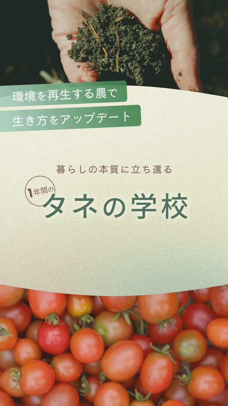 グリーンドクターズトマトの種(自然栽培) グリーンドクターズトマトの種(自然栽培) グリーンドクターズトマトの