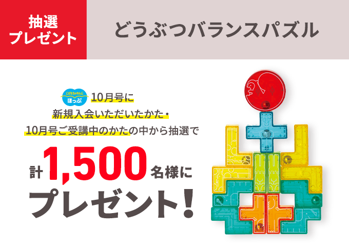 こどもちゃれんじ ほっぷ　1年分(4月〜3月分)　まとめ売り　3歳-4歳用 年少さん（3歳・4歳）向け通信教育 〈こどもちゃれんじほっぷ