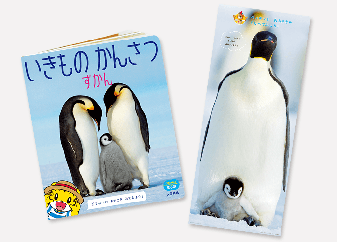 こどもちゃれんじほっぷ　3〜4歳　年少さん　フルセット こどもちゃれんじほっぷ 3〜4歳 年少さん フルセット
