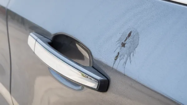 カラーフィルム