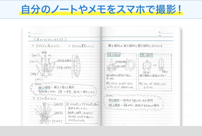 進研ゼミの定期テスト対策 | 進研ゼミ中学講座 | 中学生向け通信教育