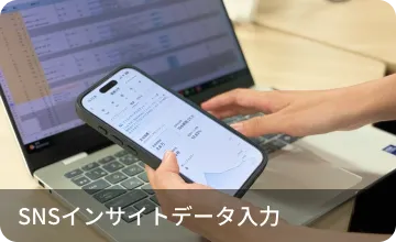 SNSインサイトデータ入力