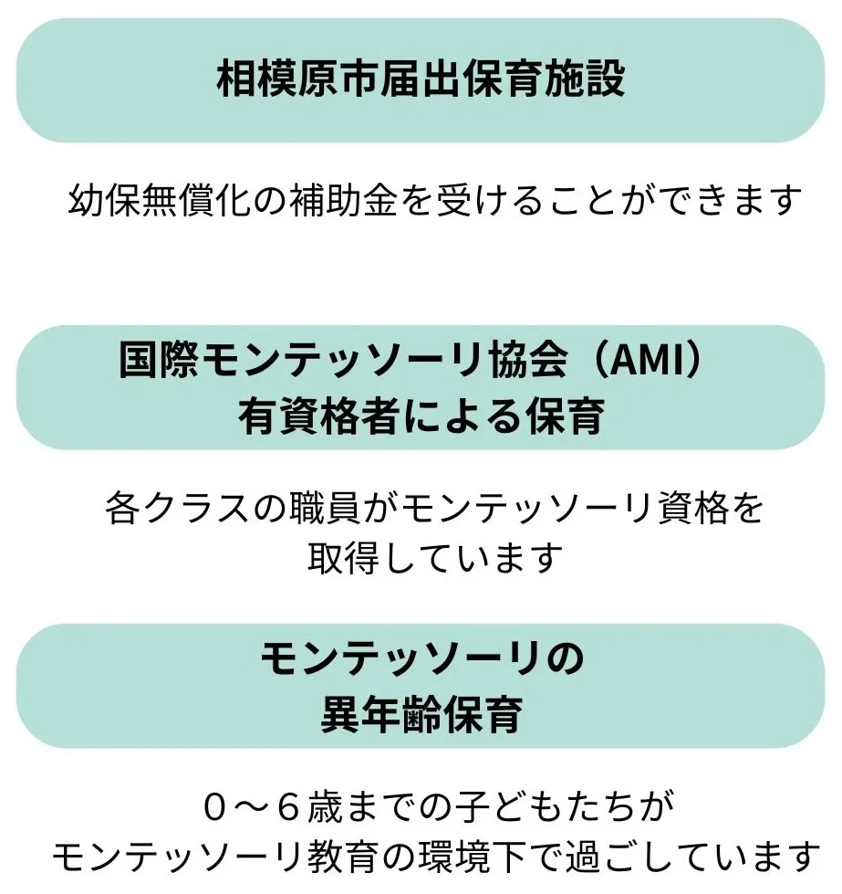 小学校における自己教育(マリア・モンテッソーリ 訳者 中村 勇