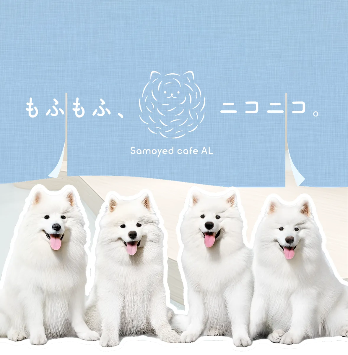 サモエドカフェ アル：Samoyed cafe AL