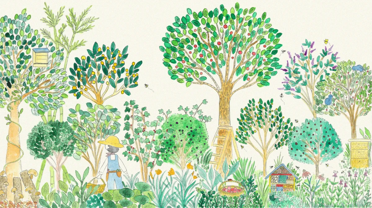 Permaculture Design Lab - パーマカルチャーデザインラボ公式 Permaculture Design Lab - パーマカルチャーデザインラボ公式