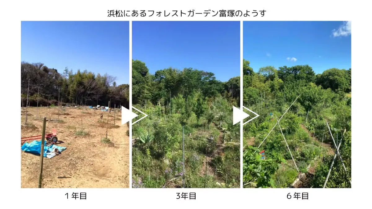 Forest gardening  パーマカルチャー関連 25cce958ec678ebe6a0aeb799e2a08