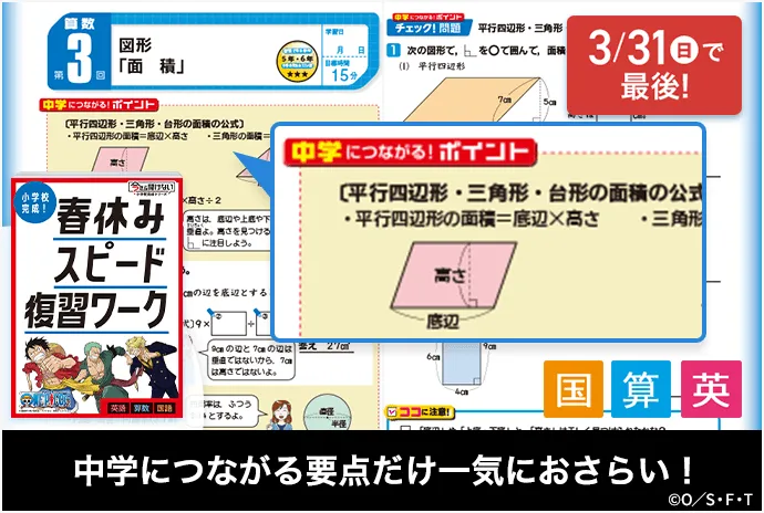 中一講座 | 進研ゼミ中学講座 | 中学1年生向け通信教育・タブレット 