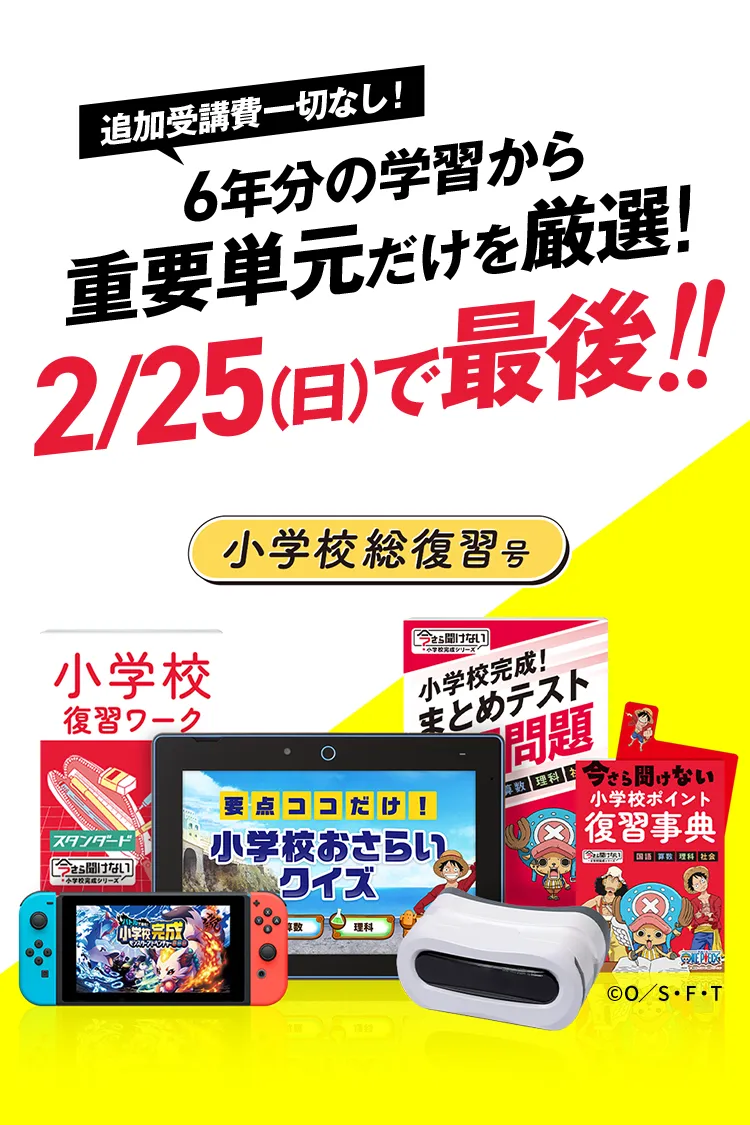 小学校 5年生 カラーテスト 5教科 セット 国語 算数 理科 社会 家庭科 