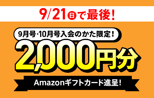 2024 4月〜2025 3月　チャレンジ3年生　未使用1年分 2024 4月〜2025 3月 チャレンジ3年生 未使用1年分 2024