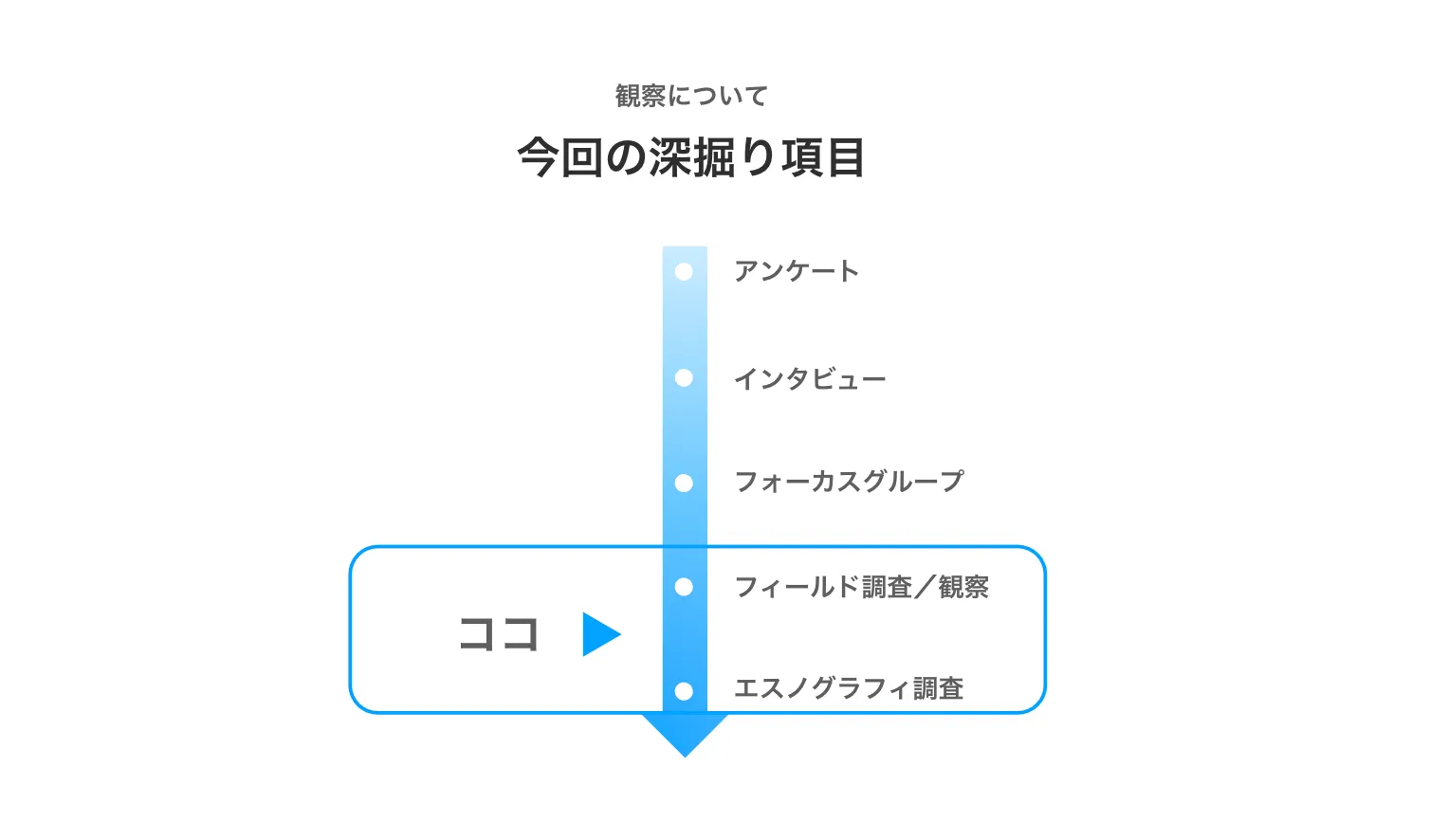 今回の深掘り項目であるフィールド調査を示す図解
