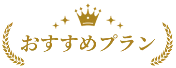 おすすめプラン