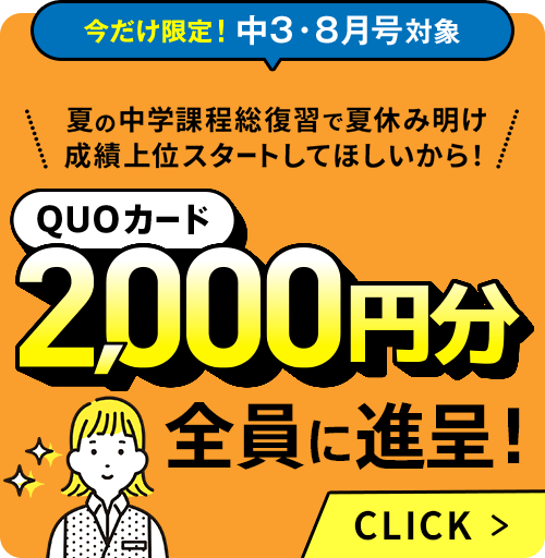進研ゼミ　中学生講座　中高一貫講座　中学1年2年　日本語学習参考書セット 進研ゼミ 中学生講座 中高一貫講座 中学1年2年 日本語学習