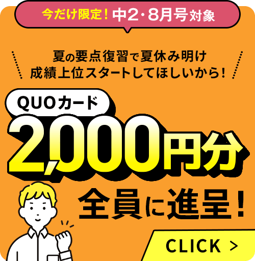 進研ゼミ中学生コース　中高一貫スタンダード中1　2024/4〜2025/2　美品 進研ゼミ中学生コース中高一貫スタンダード中12024/4〜2025/2美品