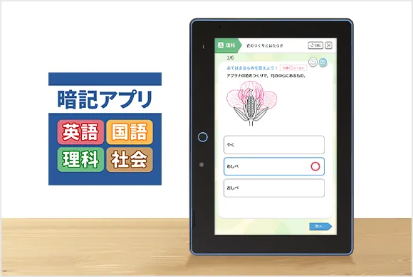 中学1年生の方向け | 中高一貫校生向け | 進研ゼミ中学講座 中学1年生の方向け | 中高一貫校生向け | 進研ゼミ中学講座
