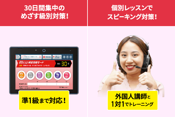 進研ゼミ中学生コース　中高一貫スタンダード中1　2024/4〜2025/2　美品 中学1年生の方向け | 中高一貫校生向け | 進研ゼミ中学講座