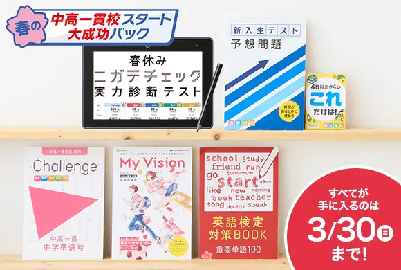 進研ゼミ　中学講座　中高一貫　テキストセット 進研ゼミ中学講座中高一貫テキストセット