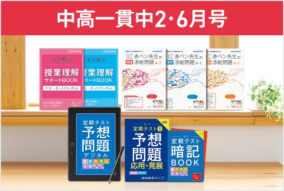 貴重⭐️ベネッセ中高一貫講座「ニガテ解消シリーズ」☆「学力