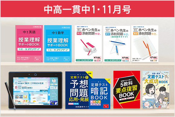 進研ゼミ 中学講座 中高一貫 中2 セット まとめ売り 進研ゼミ 中学講座 中高一貫 中2 セット まとめ売り