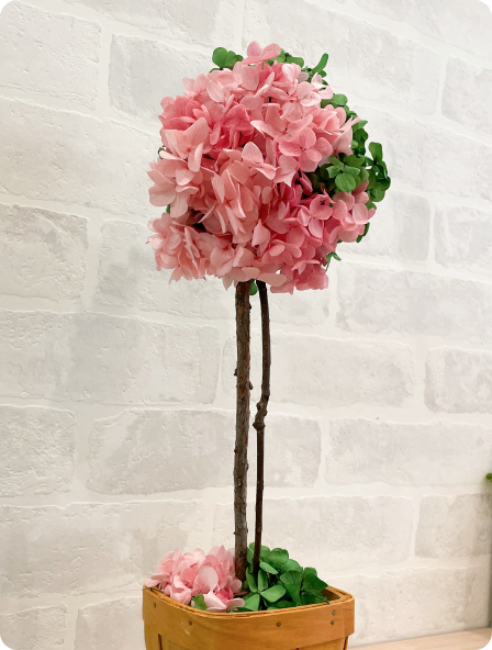 ピンクの紫陽花を飾ったトピアリー風アレンジ