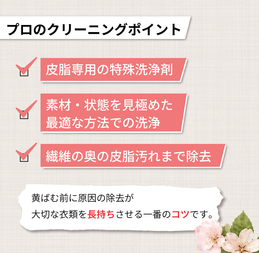 🌸春最終クリアランスセール🌸 ｜クリーンスター