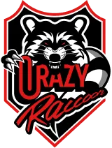 Crazy Raccoon だるまいずごっど マウスパッド Crazy Raccoon だるまいずごっど マウスパッド - メルカリ