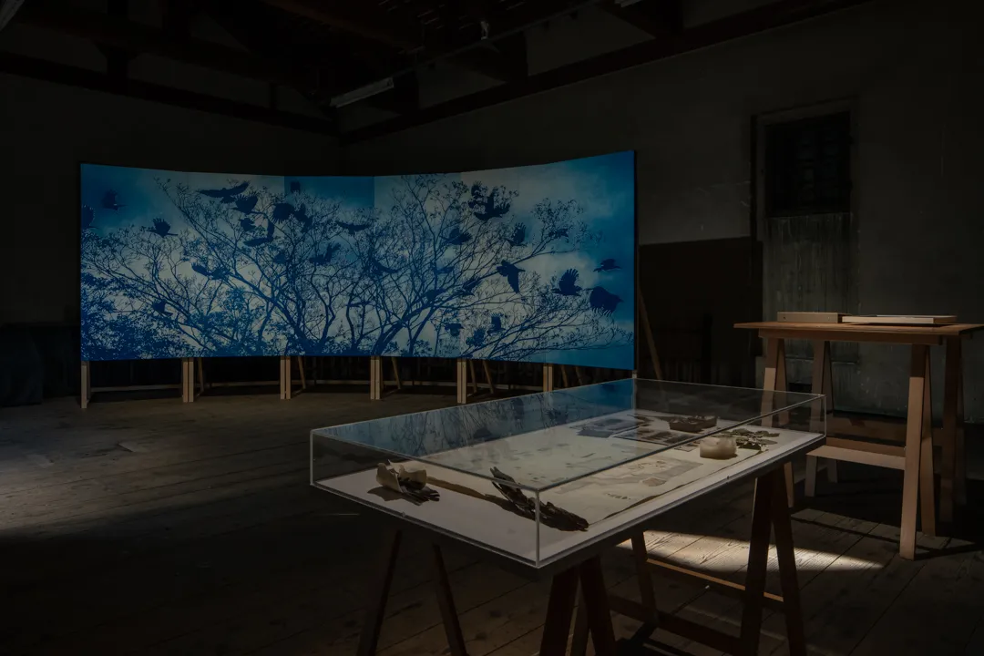 名古屋城　製作ご依頼受付専用ページ アートサイト名古屋城 2024