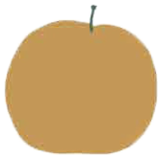 大川三世代オンラインショップ