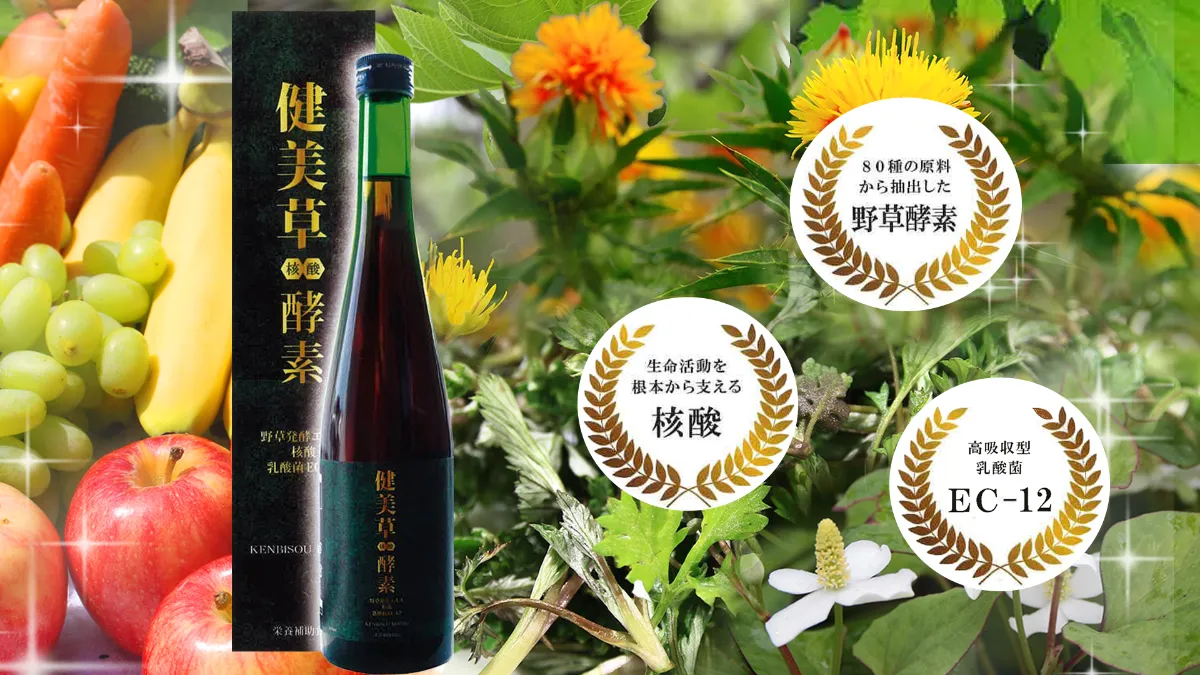 けんぽー様専用 野草酵素 720ml×2本 未開封 株式会社ブライト・グリーン