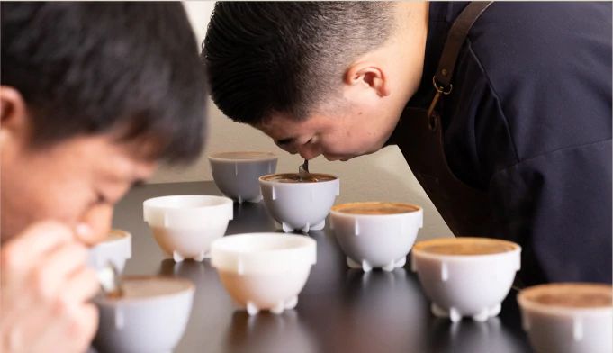 デカフェ専用の焙煎プロファイルを開発