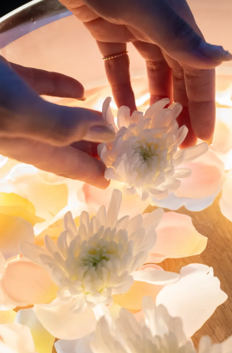 トランプ Lotusinhand Lotus #02 Lotus #02 Playing Cards by lotusinhand – GamelandSKN