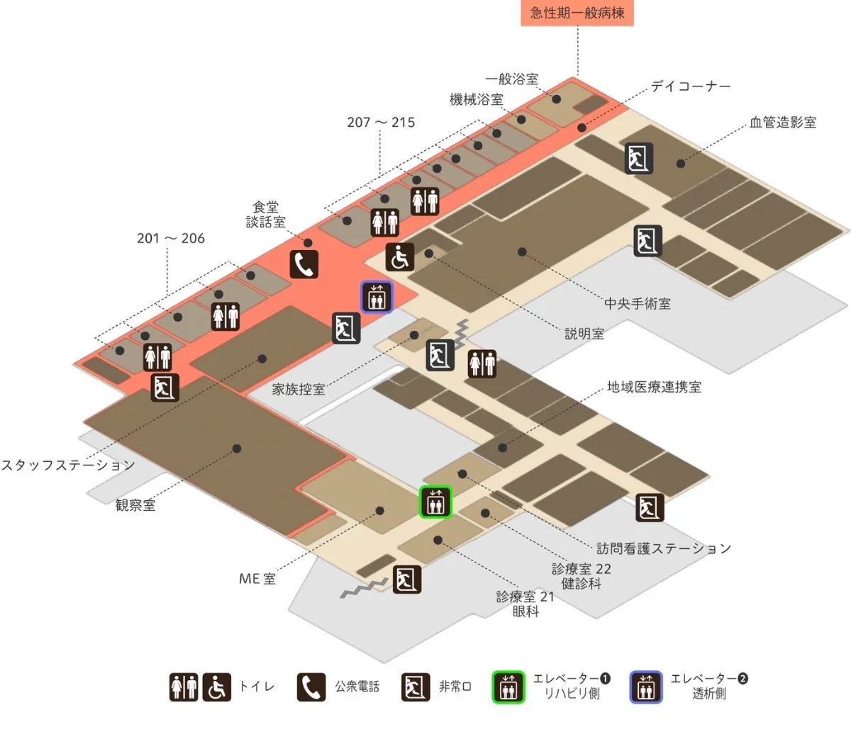 肝臓病学　朝倉書店 肝臓病学 | 井廻 道夫 |本 | 通販 | Amazon