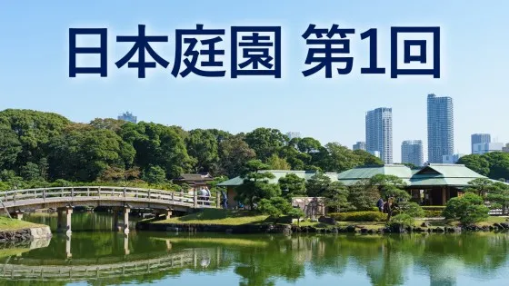 ダミー画像