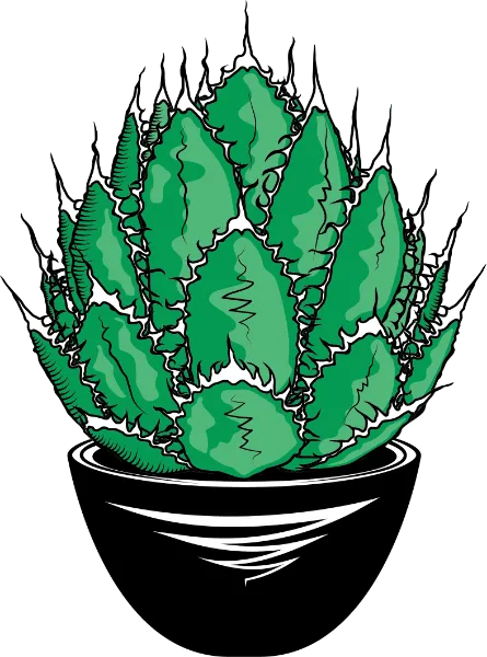 GREEN PRICKLE（グリーンプリックル） | ビザールプランツアート制作所