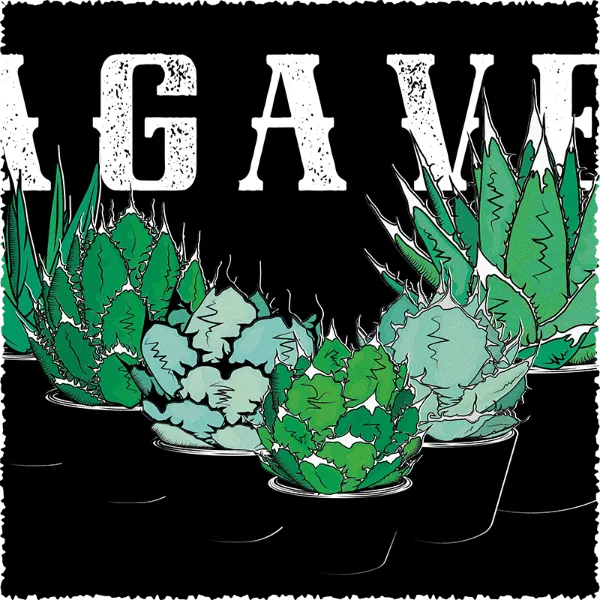 ワーク | GREEN PRICKLE（グリーンプリックル） | ビザールプランツ