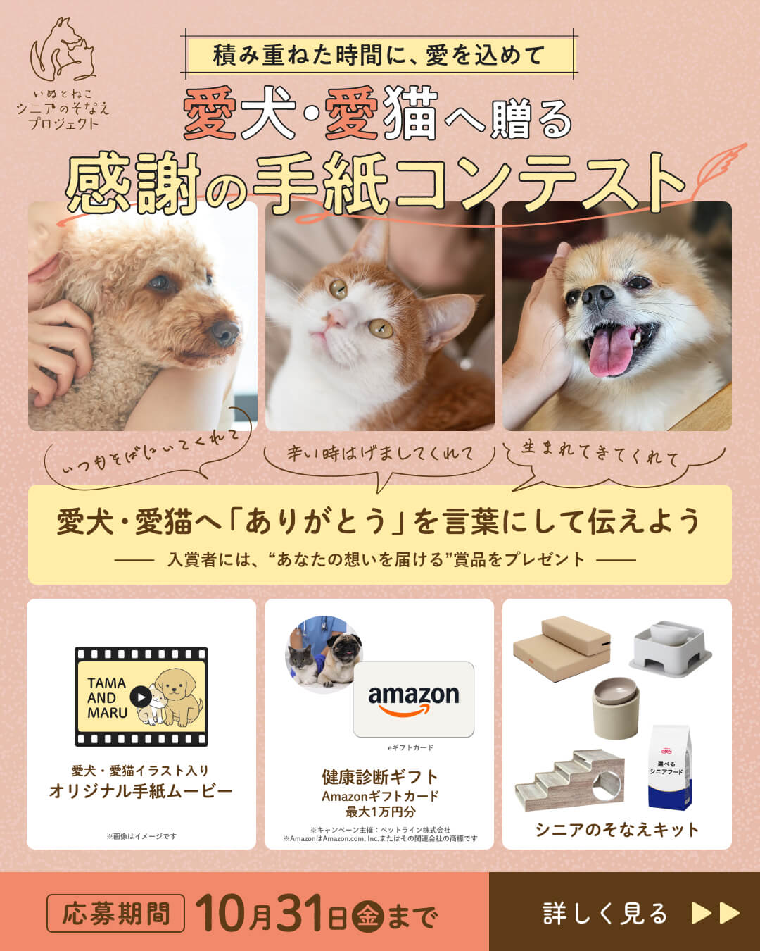 いぬとねこ シニアのそなえプロジェクト