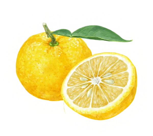 Kaori no Kura Premium Yuzu Ponzu | Rich In Yuzu Citrus Seasoned