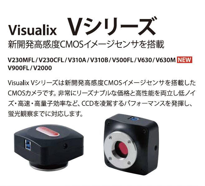 株式会社Visualix